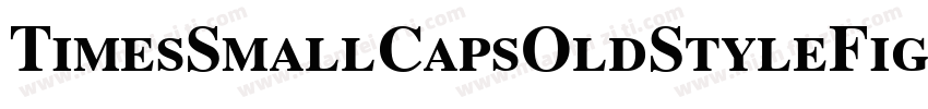TimesSmallCapsOldStyleFigures Bold字体转换